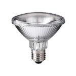 PAR30 S Pro 100W  PHILIPS E27