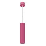 NOWODVORSKI 5401 ROSE