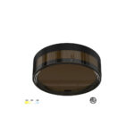LED PLAFONJERA BLM230CW 18W CCT CRNA IP65